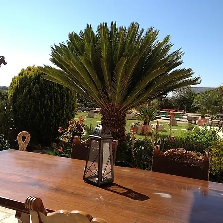 Vakantiehuis Trullicolarossa Alberobello